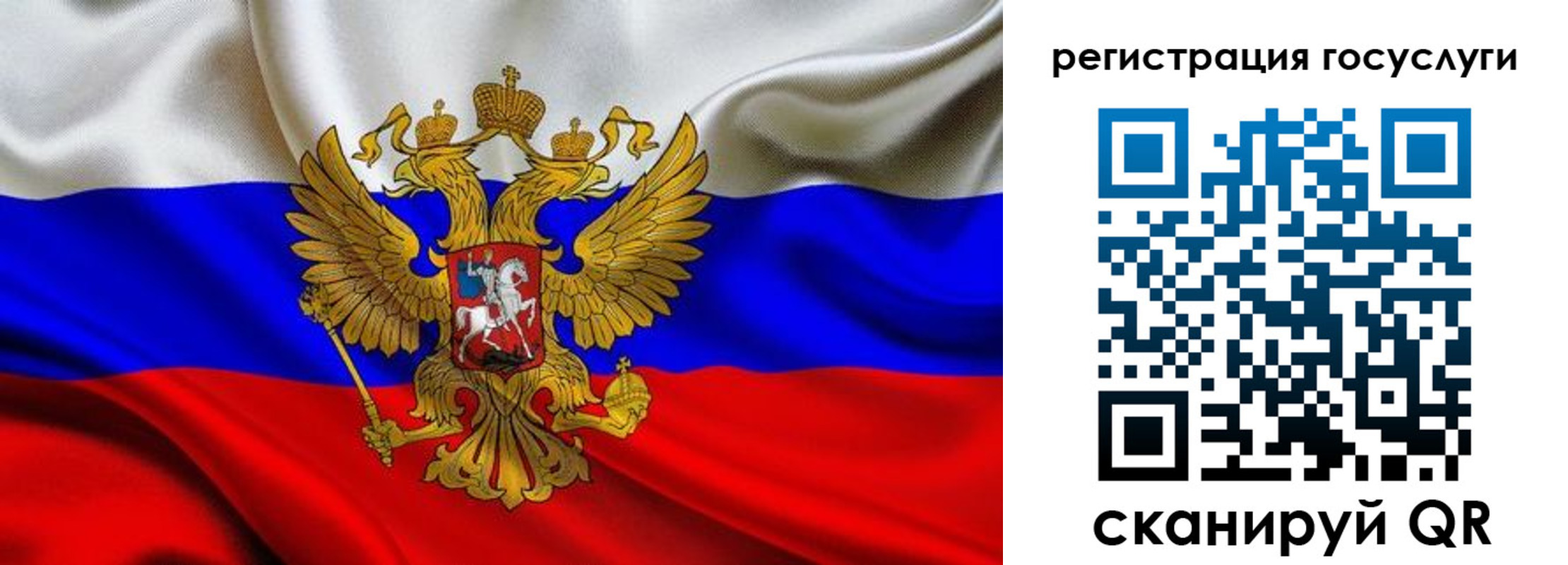 прописка гарантия в Кингисеппе